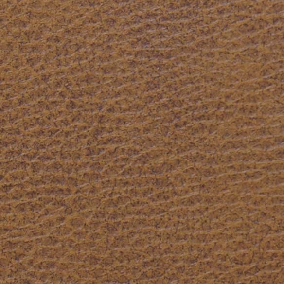 Lift Recliner Chairs by Golden Tech - Sparrow Fabric Swatch Order Online