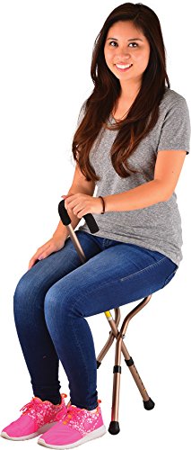 Adjustable Folding Seat Cane