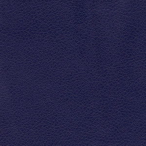 PR761 EZ Sleeper with MaxiComfort & Twilight | Medium/Large | Zone 5