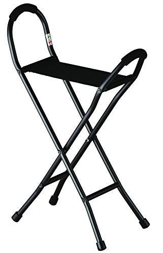 Travel Seat Cane